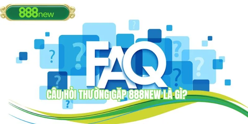 Câu hỏi thường gặp 888NEW giải đáp vướng mắc của hội viên