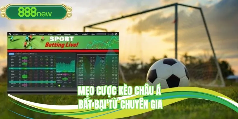 Mẹo cược kèo châu Á bất bại từ chuyên gia