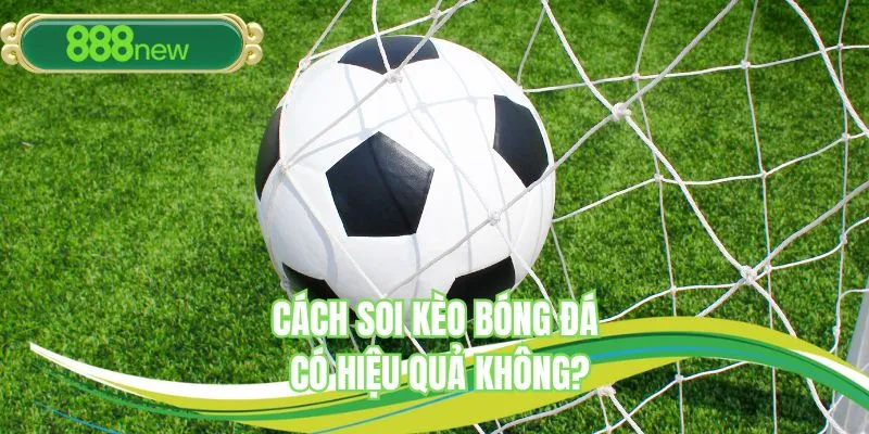 Tại sao cần cách soi kèo bóng đá chính xác