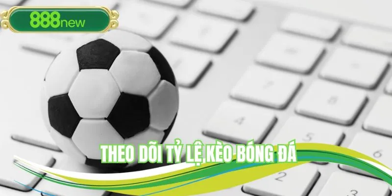 Bám sát tỷ lệ - cách soi kèo bóng đá chuyên nghiệp